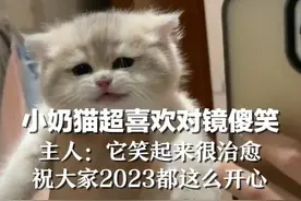 小奶猫超喜欢对镜傻笑，主人：它笑起来很治愈，祝大家2023都这么开心图片