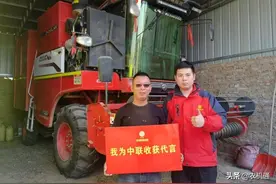 30岁小伙驾驶中联收获花生机征战南北，最高一天作业120亩图片