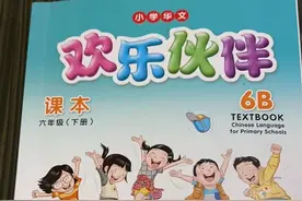 美国和新加坡的教科书封面长这样图片