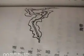 藻类黄金——海带图片
