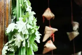 端午习俗：艾草是顺着挂好还是倒着挂好？艾草挂双不挂单？图片