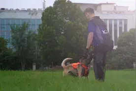 《火线119》第八十二期——《消防搜救犬：无言的逆行者 拯救生命的勇士 》图片