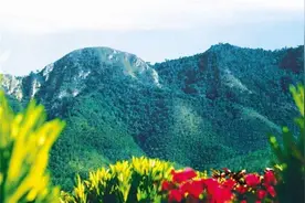 1992海南发现一山头酷似毛主席，孔令华跪地哭泣，李讷连连感叹图片