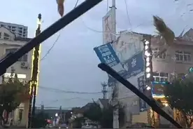 美国德州暴雨后，天上突然下起了鱼雨，这种异象为何会发生？图片