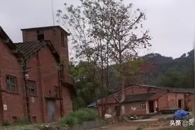 广西规模最大的火柴厂，舞龙牌享誉桂粤两地最终却败给打火机图片