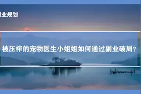 被压榨的宠物医生小姐姐如何通过副业破局？图片