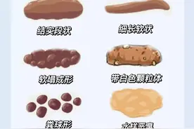 用猫咪便便看健康/这几种形状铲屎官需要留意图片