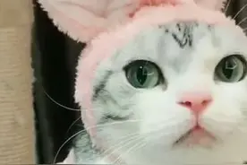 当年某些计划生育工作人员做得太过分的事情知多少图片