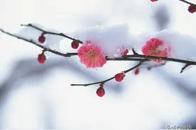 好久不见，甚是想念图片