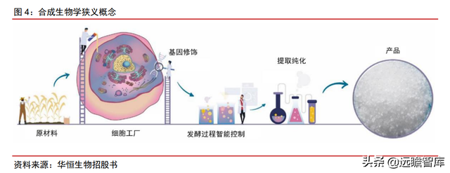 颠覆传统，合成生物：迎来历史发展机遇，乘势而起，引领未来