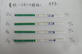 第五次移植之早孕试纸双杠图片