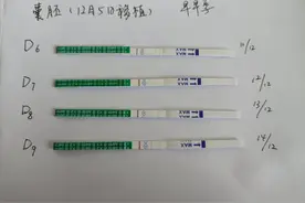 第五次移植之早孕试纸双杠图片
