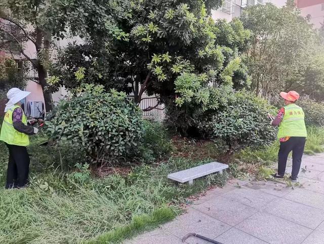 东湖新技术开辟区豹澥街分类专班黄金堂社区开展清洁家园活动