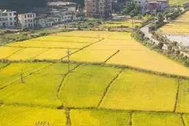 【闽山闽水物华新】大V推荐｜云游福建小众地，你知道几个？图片