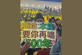 今年的演唱会现场尤其盛产“显眼包”图片