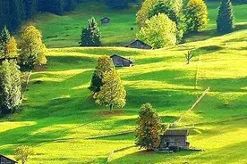 家无丈夫的女人，路往哪走才好？图片