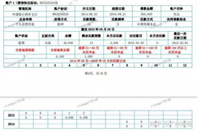 征信显示逾期是啥样的，征信显示逾期是啥样的记录 配图30