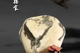 简谈兰州黄河石之动物石图片