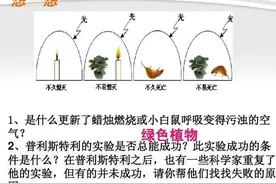 有趣的“普利斯特利实验”——光合作用的探索与发现之旅图片