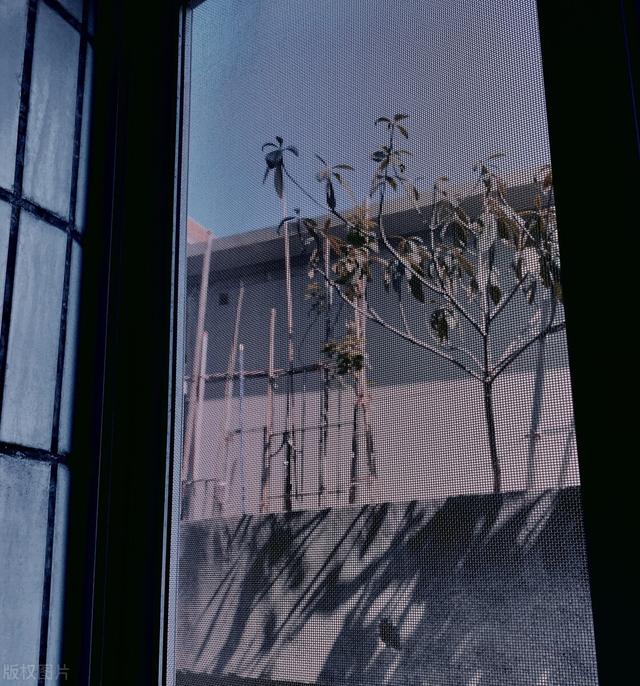 换了2次纱窗，我终于明白了200元金刚网和100元高透网的区别