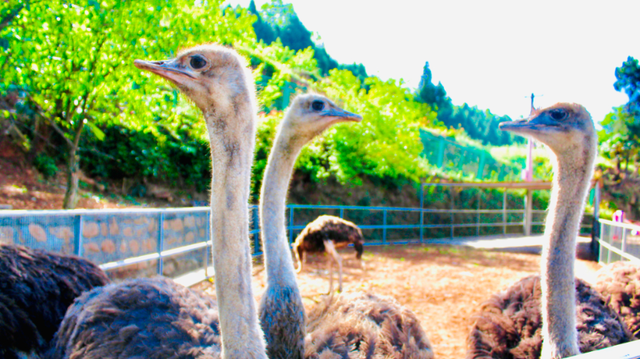 四川省民生研究会新媒体中心-官网