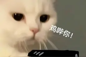 趣味表情包丨鸡哔你！图片