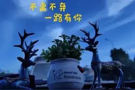 #关于珍惜友情的唯美语录#时光不老，我们不散图片