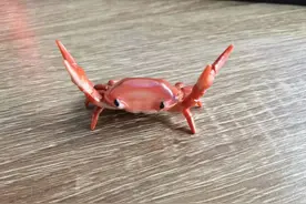 教学贴：广州哪些房子是难卖的蟹货，不建议买的图片