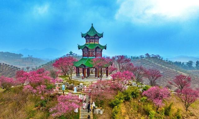 贵州梅园，体验感更好了！