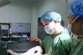 2020年，福建女子头皮瘙痒难忍，医生检查后从头皮取出6条活体虫图片