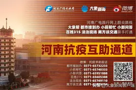 “大象帮 | 河南抗疫互助通道”与你守望相助！一键解决“急难愁盼”图片