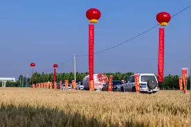 2022年第五届黄淮麦区小麦新品种地展博览会在河南郑州成功举办图片