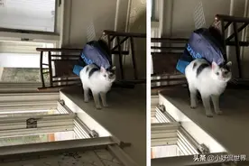 视错觉效果：第一眼你可能会被骗到的9张奇怪照片图片