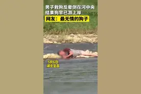 最无情的狗子！男子为救狗被水冲走300米 结果狗早已游上岸图片