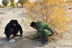 深入罗布泊腹地科考：这片荒芜之地会再次“复活”吗？图片