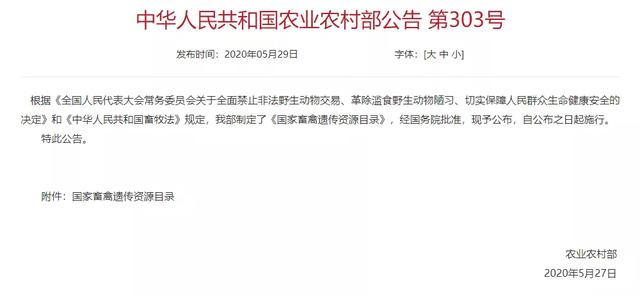 法宠见闻丨狗狗不是家畜,是伴侣动物