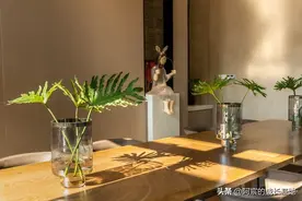 2022年终总结:万望诸君顺遂平安，23年我还在这里等你们图片