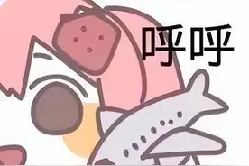 小飞机呼呼呼表情包图片