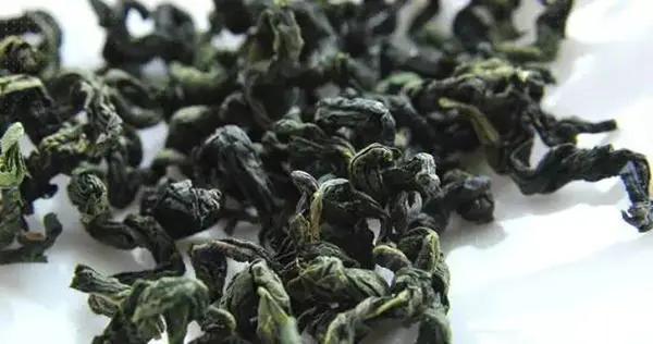 千万别小瞧了天天喝的茶，所有的树叶都能制茶吗？茶叶树叶的区别
