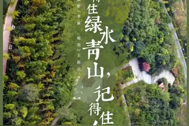 非凡十年 见郑城长⑦｜留得住绿水青山 记得住乡愁图片