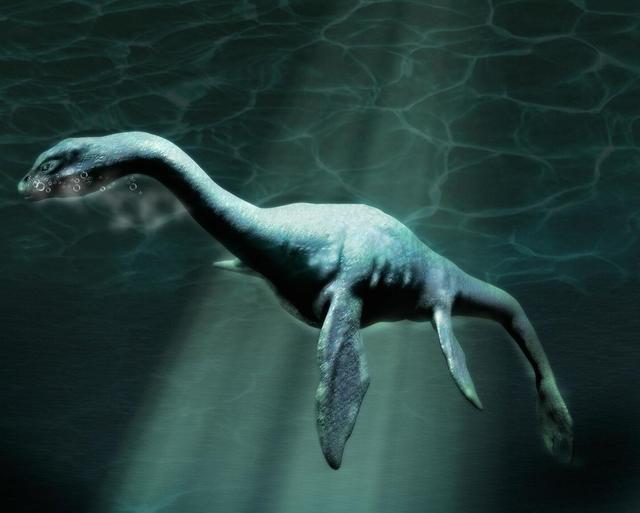 新疆喀纳斯湖水怪之谜最新消息 新疆喀纳斯湖泊发现水怪