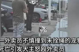 外卖员撞死未拴绳狗，被狗主人打破头不还手，才懂刘强东多有远见图片