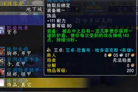 魔兽世界怀旧服：防骑单刷装备讲解，蛛丝精华一点用都没图片