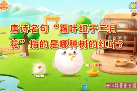 唐诗名句“霜叶红于二月花”指的是哪种树的红叶？蚂蚁庄园小知识图片