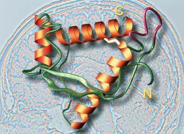 鐑圭叜閮芥潃涓嶆鐨勬湂鐥呮瘨锛岃嚧姝荤巼100%鏃犺嵂鍙晳锛佹劅鏌撳悗鏈夊鎭愭€栵紵