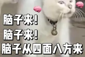 表情包：脑子来，脑子来，脑子从四面八方来图片