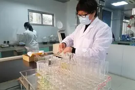 深度｜东莞“战咸潮”背后图片