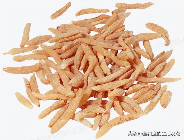 踏春必备“百草图”之三，身边那些有价值的野草，你能认识几种？