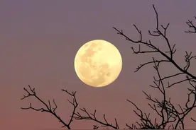 手机如何拍中秋月亮，这篇干货先码住图片