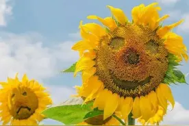 老年人是从多少岁开始惧怕死亡的？3位老人说出内心真实想法图片